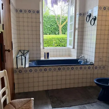 Maison Familiale Avec Piscine Et Grand Jardin * Chateaumur